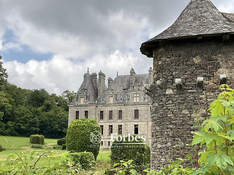 Castle Carentoir - 27 bedrooms - 2800m²