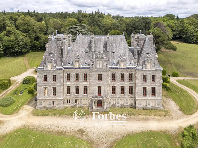 Castle Carentoir - 27 bedrooms - 2800m²
