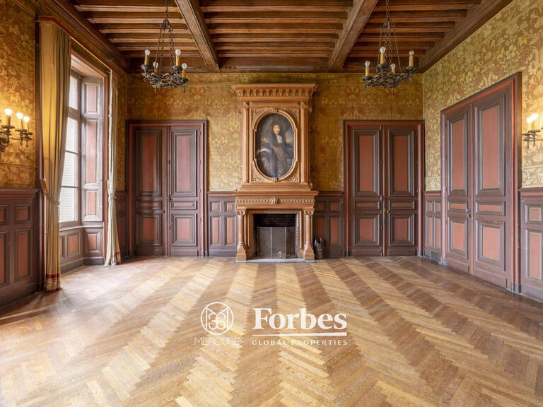 Castle Carentoir - 27 bedrooms - 2800m²