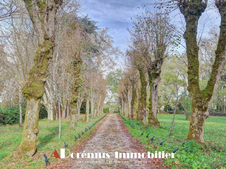 Maison Carignan-de-Bordeaux - 7 chambres - 401m²