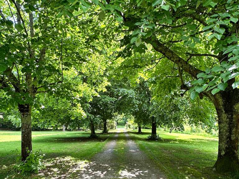 Maison Carignan-de-Bordeaux - 3 chambres - 140m²