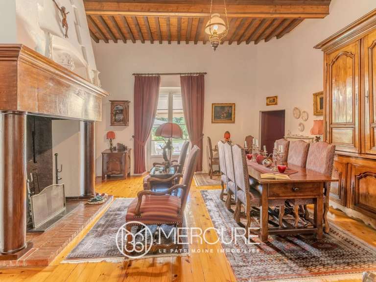 Propriété Carlus - 6 chambres - 380m²