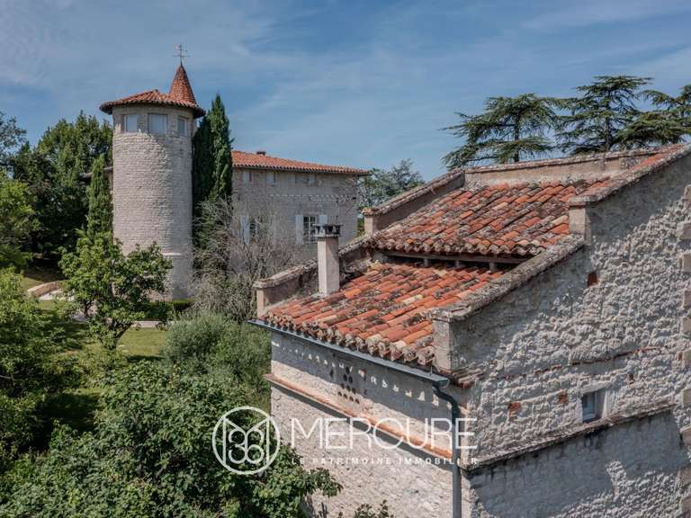 Propriété Carlus - 6 chambres - 380m²