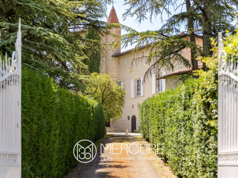 Propriété Carlus - 6 chambres - 380m²