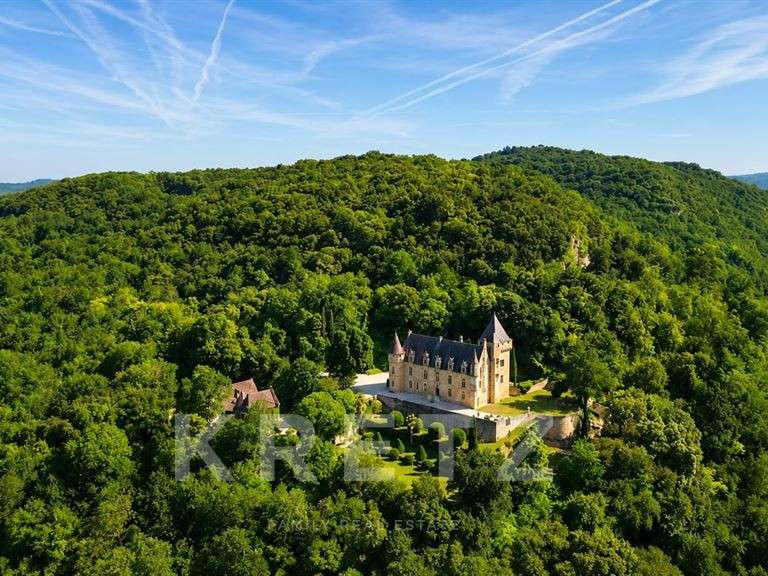 Castle Carlux