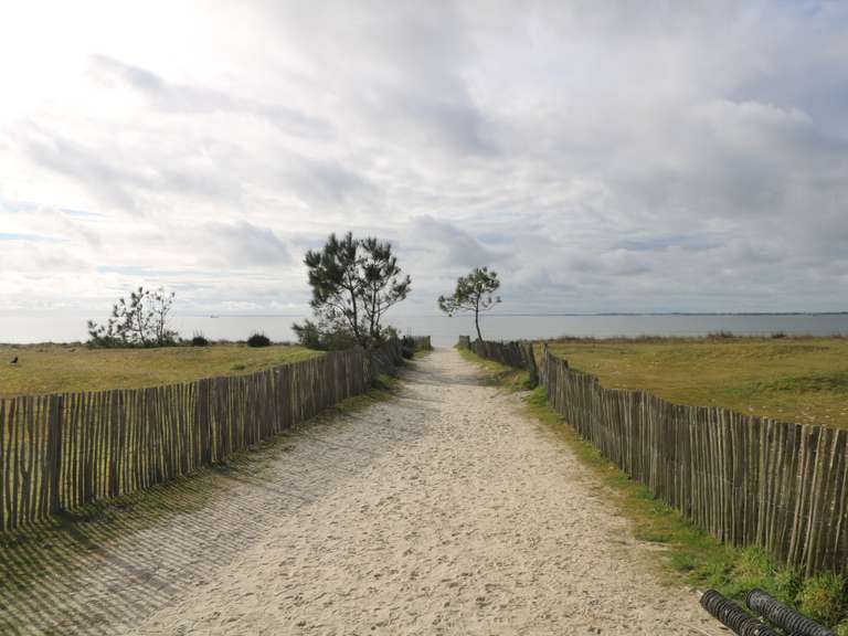 Villa Carnac - 8 chambres - 200m²