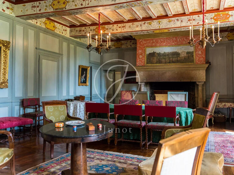 Castle Caro - 11 bedrooms - 800m²
