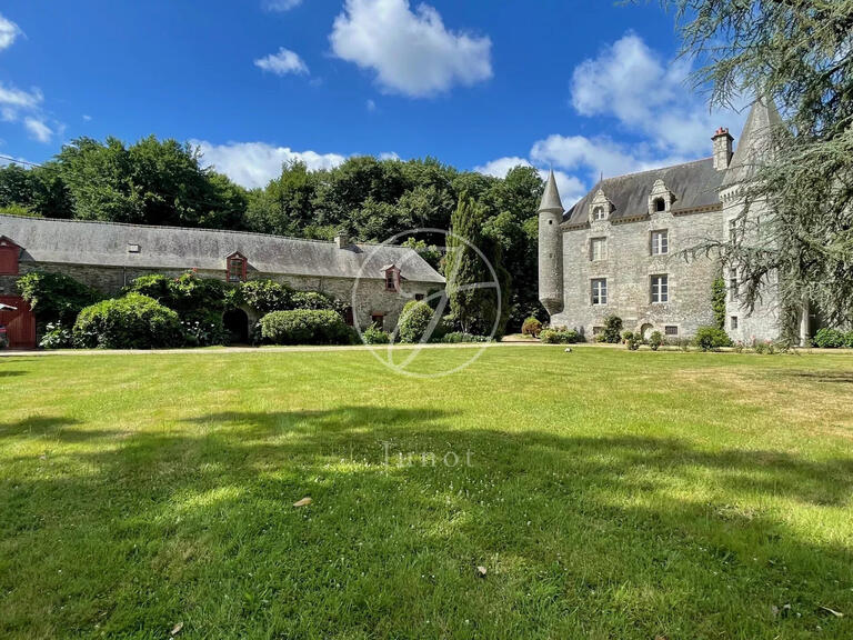 Castle Caro - 11 bedrooms - 800m²