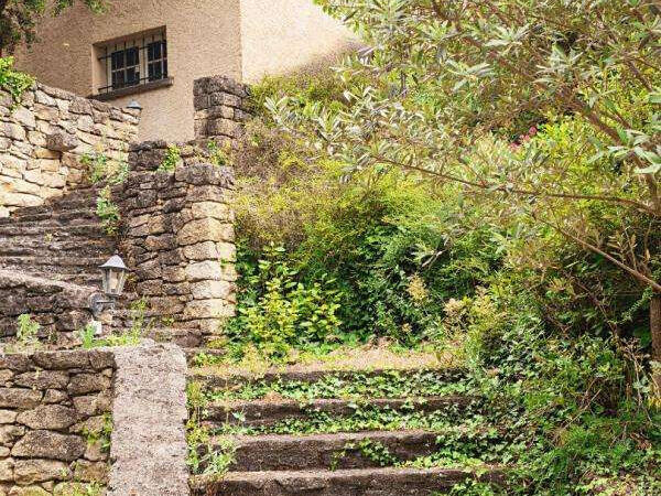 House Carpentras