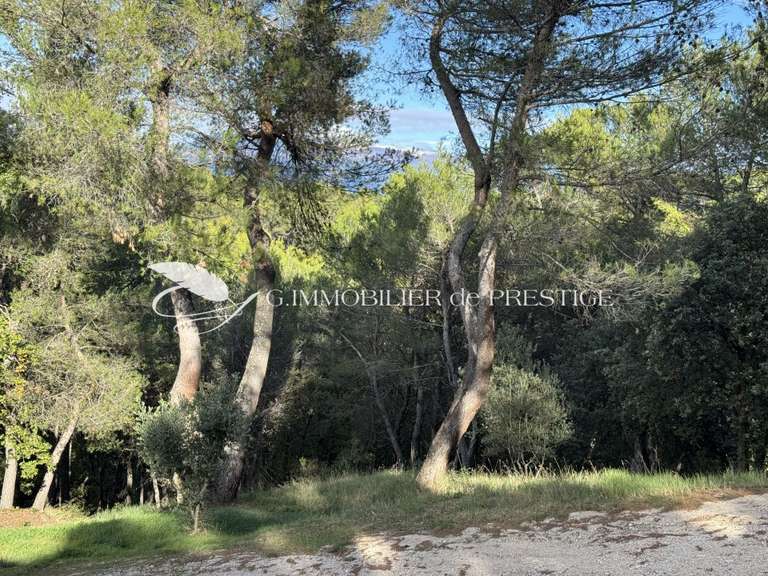 Villa Carpentras - 4 chambres - 200m²