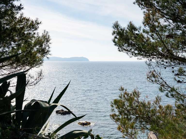 House Carqueiranne - 150m²