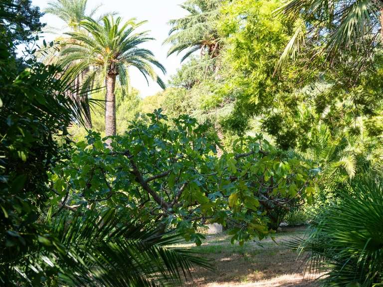 House with Sea view Carqueiranne - 4 bedrooms - 383m²