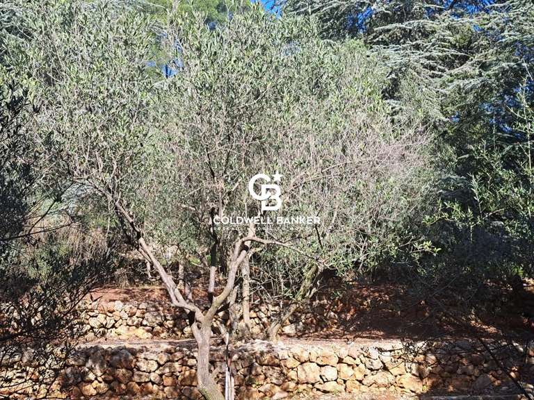 Villa Carqueiranne - 5 chambres - 280m²