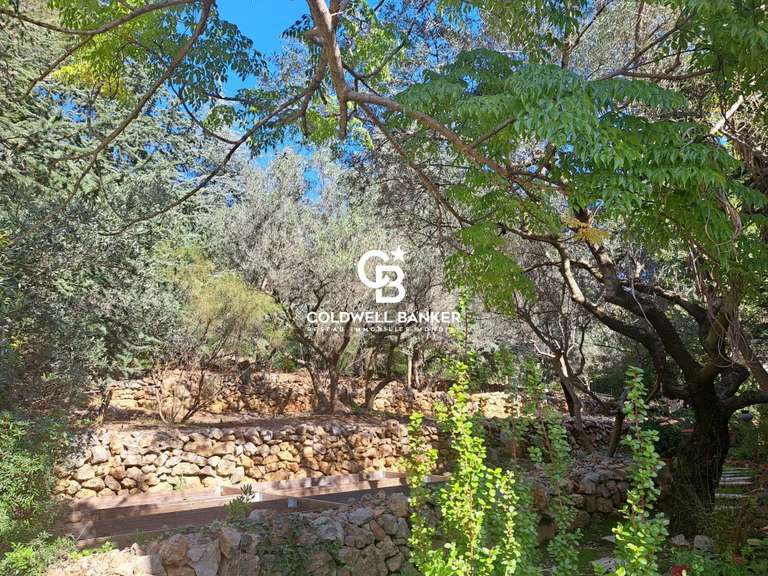 Villa Carqueiranne - 5 chambres - 280m²