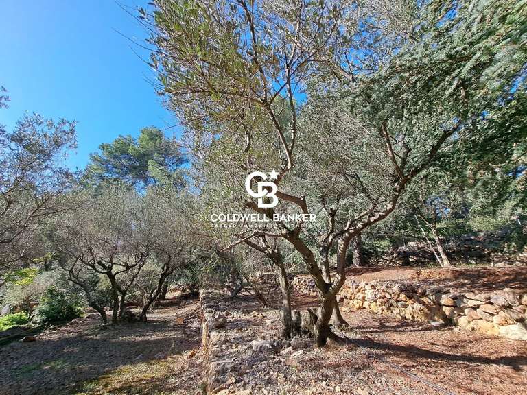 Villa Carqueiranne - 5 chambres - 280m²