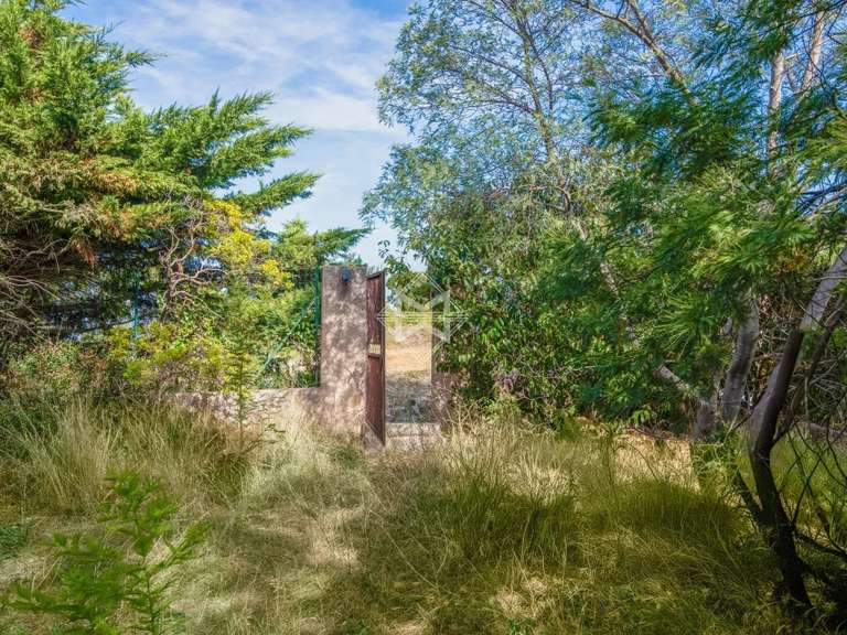 Villa avec Vue sur mer Carqueiranne - 5 chambres - 250m²