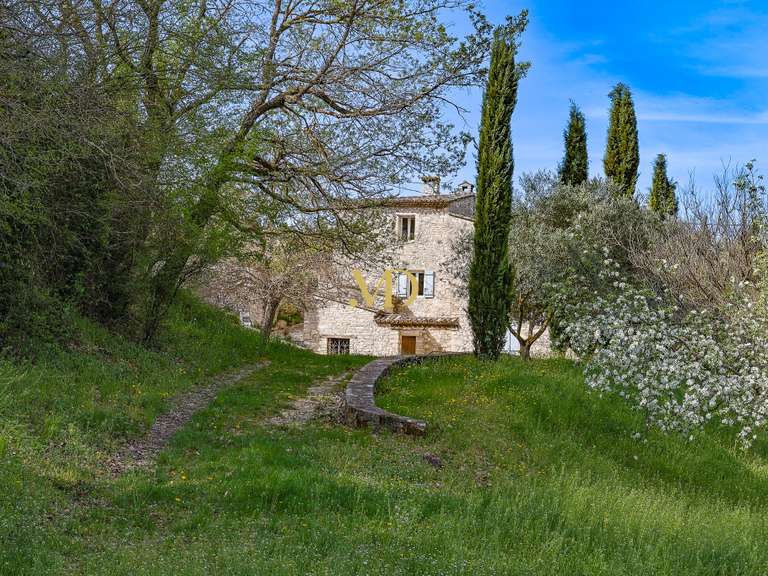 House Caseneuve - 7 bedrooms - 500m²