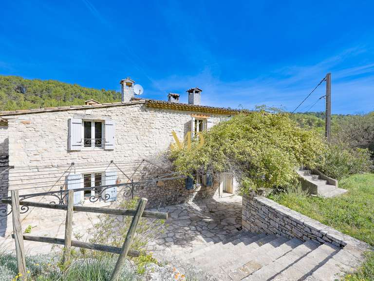 House Caseneuve - 7 bedrooms - 500m²