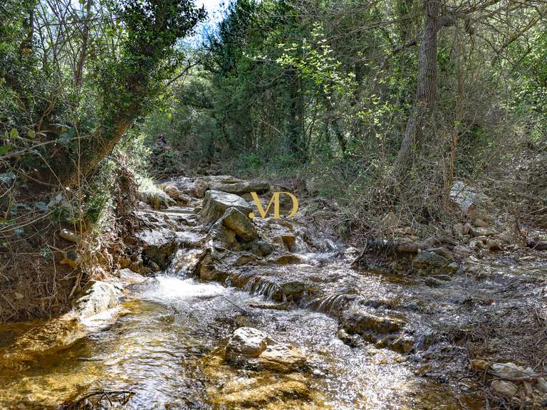 House Caseneuve - 7 bedrooms - 500m²