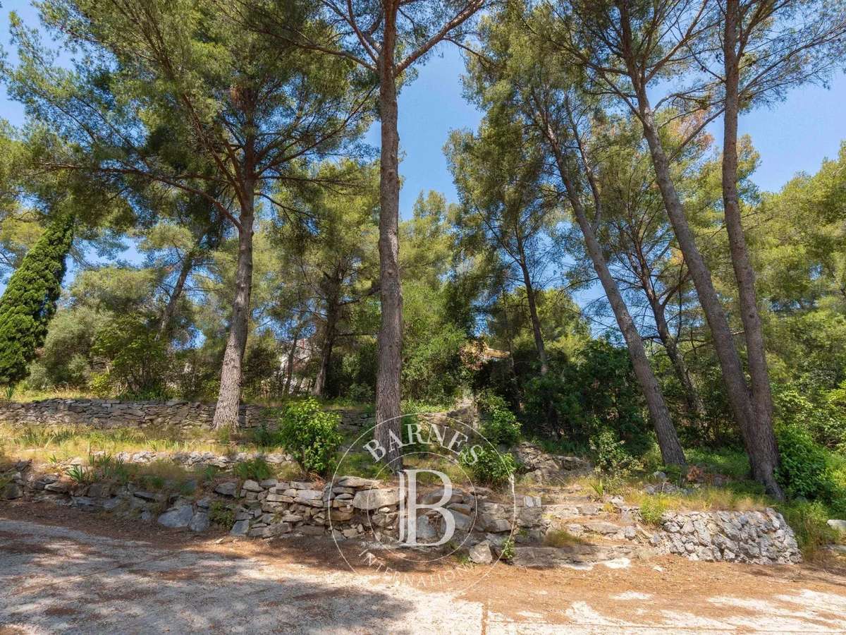 House Cassis