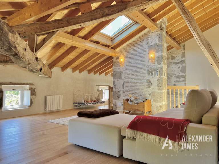 Château Casteljaloux - 10 chambres - 831m²