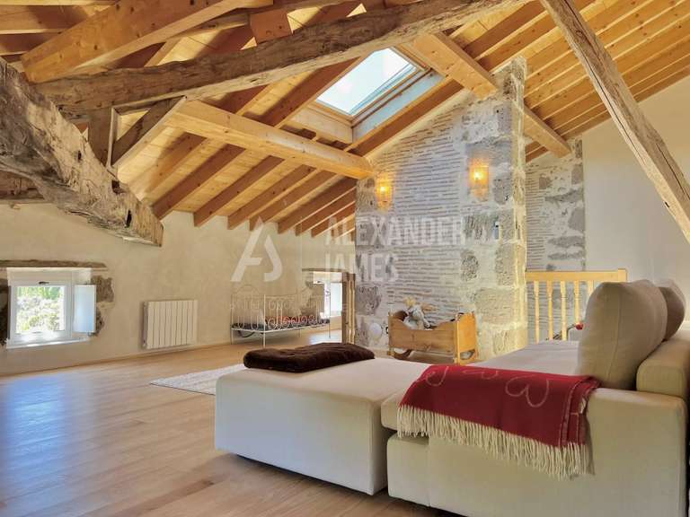 Château Casteljaloux - 10 chambres - 831m²