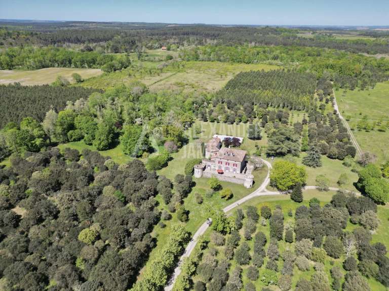 Château Casteljaloux - 10 chambres - 831m²