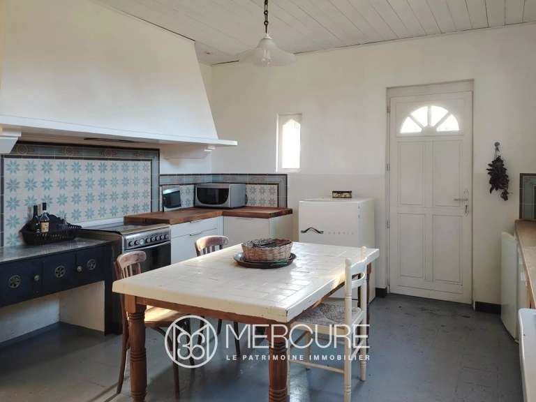 Propriété Castelnau d'Auzan Labarrère - 10 chambres - 612m²