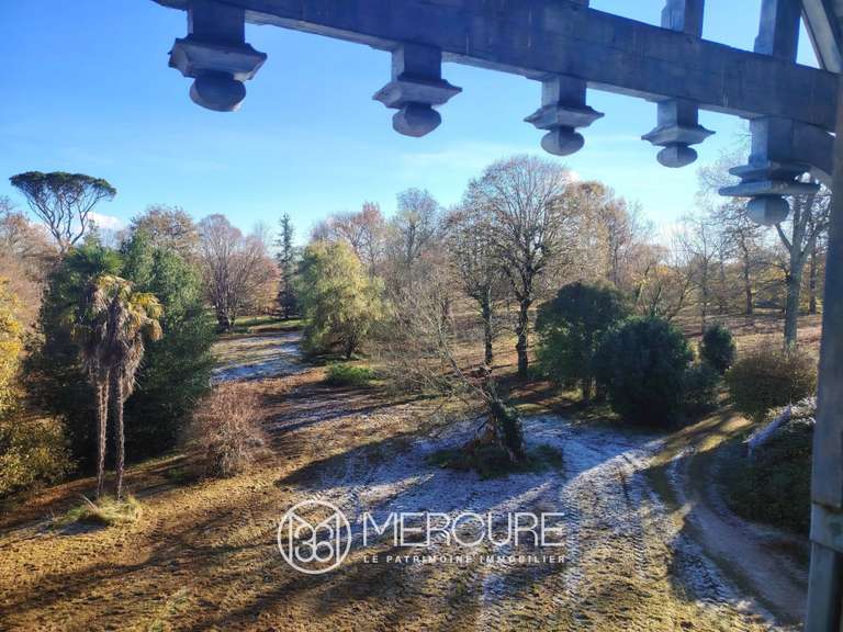 Propriété Castelnau d'Auzan Labarrère - 10 chambres - 612m²