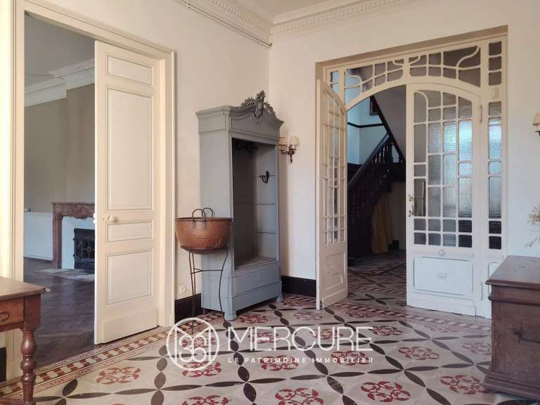 Propriété Castelnau d'Auzan Labarrère - 10 chambres - 612m²