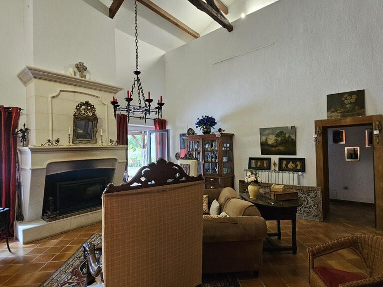 Maison Castelnau-de-Montmiral - 4 chambres - 259m²