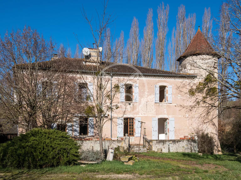 Sale Property Castelnau-de-Montmiral - 8 bedrooms