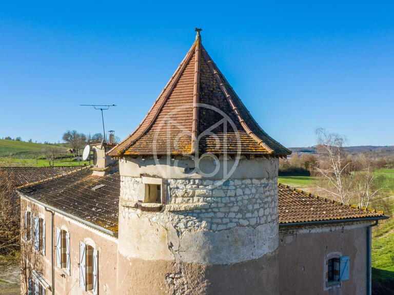 Vente Propriété Castelnau-de-Montmiral - 8 chambres