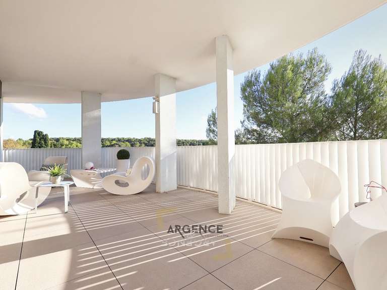 Appartement Castelnau-le-Lez - 3 chambres - 120m²