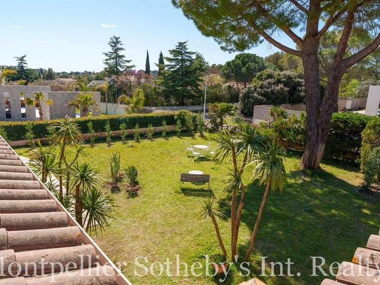 House Castelnau-le-Lez - 4 bedrooms - 255m²