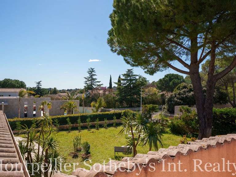 House Castelnau-le-Lez - 4 bedrooms - 255m²