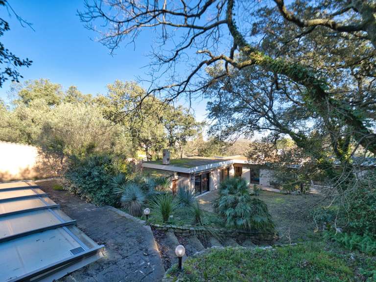 Maison Castelnau-le-Lez - 6 chambres - 260m²