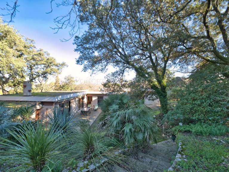 Maison Castelnau-le-Lez - 6 chambres - 260m²