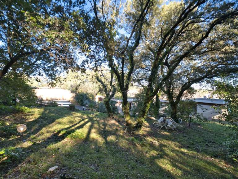 Maison Castelnau-le-Lez - 6 chambres - 260m²