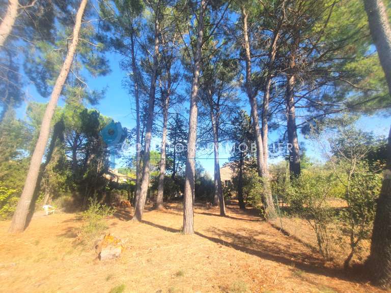 Maison Castelnau-le-Lez - 6 chambres - 250m²