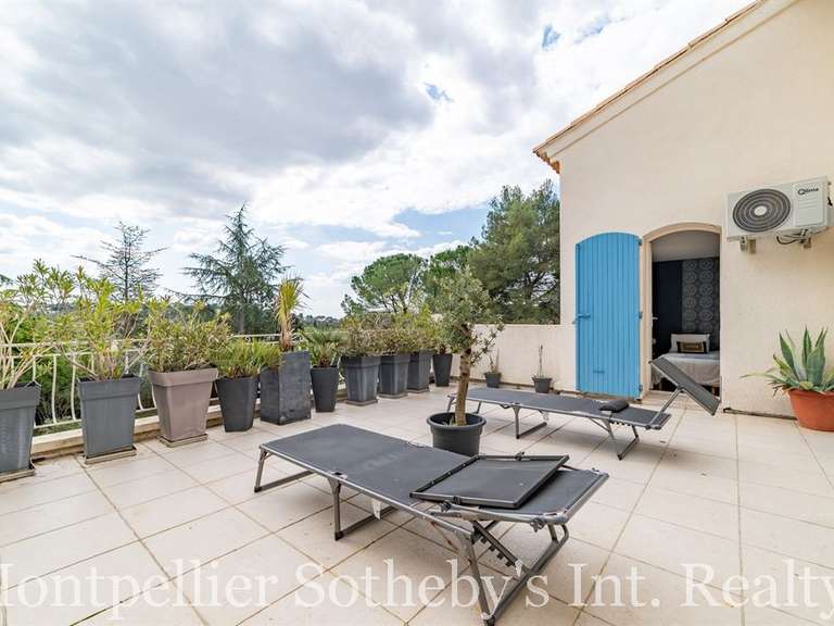 House Castelnau-le-Lez - 4 bedrooms - 230m²