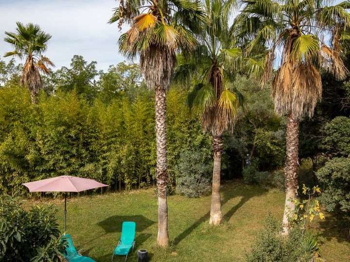 Property Castelnau-le-Lez