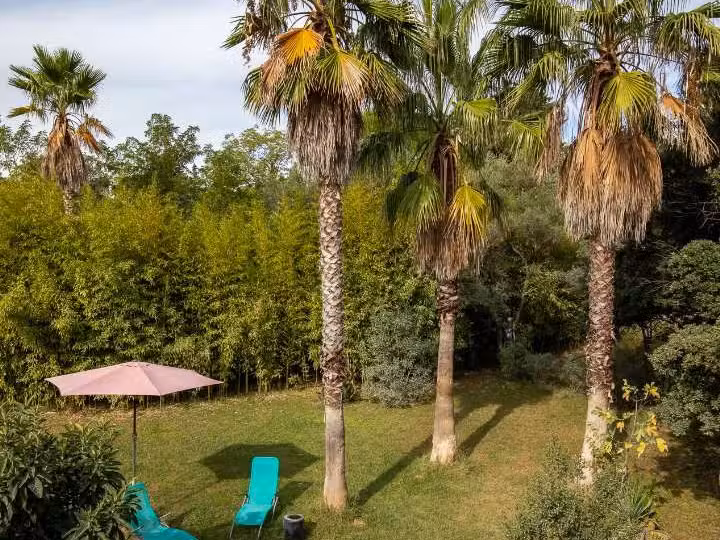 Property Castelnau-le-Lez