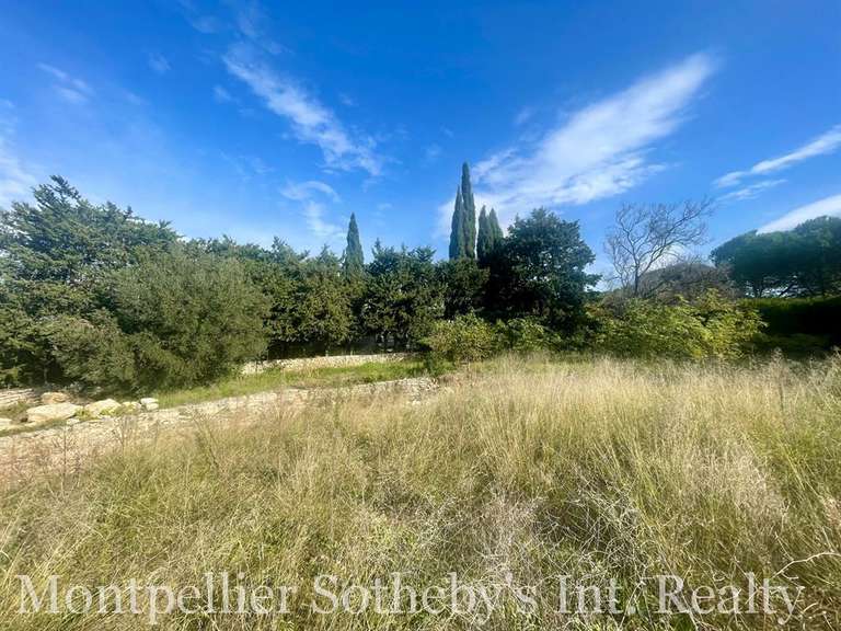 Terrain Castelnau-le-Lez - 1585m²