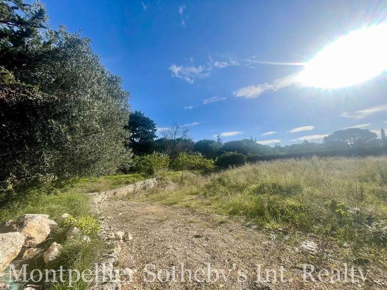 Terrain Castelnau-le-Lez - 1585m²