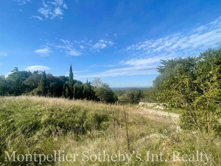 Terrain Castelnau-le-Lez - 1585m²