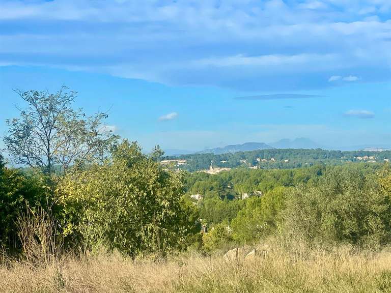 Land Castelnau-le-Lez - 1585m²