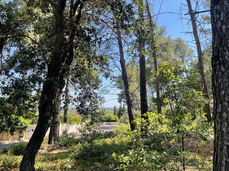 Terrain Castelnau-le-Lez - 1000m²