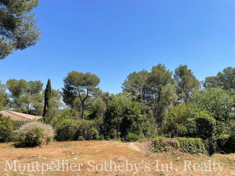 Land Castelnau-le-Lez - 1000m²