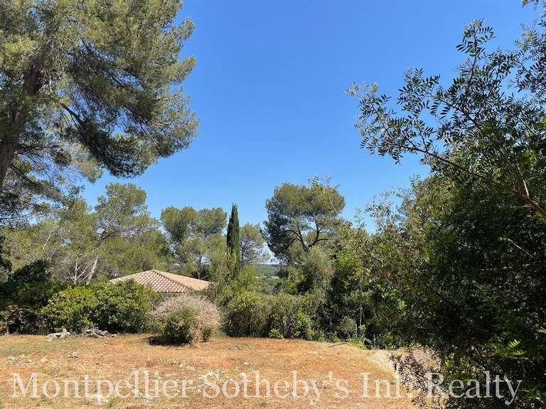 Land Castelnau-le-Lez - 1000m²